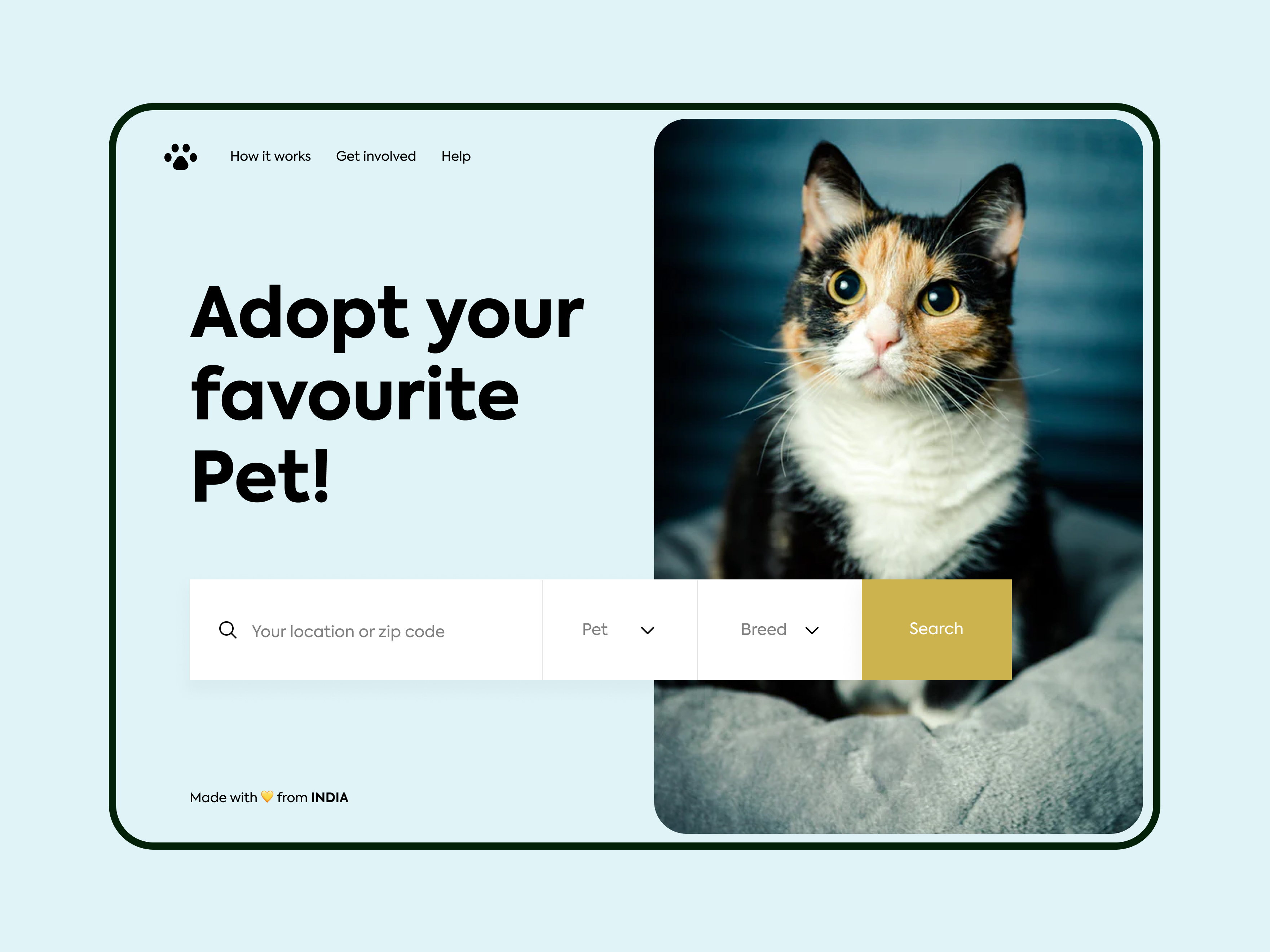 Example of Pet adoption - Web design