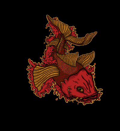 koi asia chinese drawing fish illustration japan koi procreate