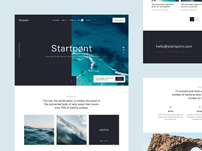 Overview - Startpønt dennis snellenberg interaction personal project rotterdam sea starterkit startpoint startpunt ui ux vector water waves website 🌊