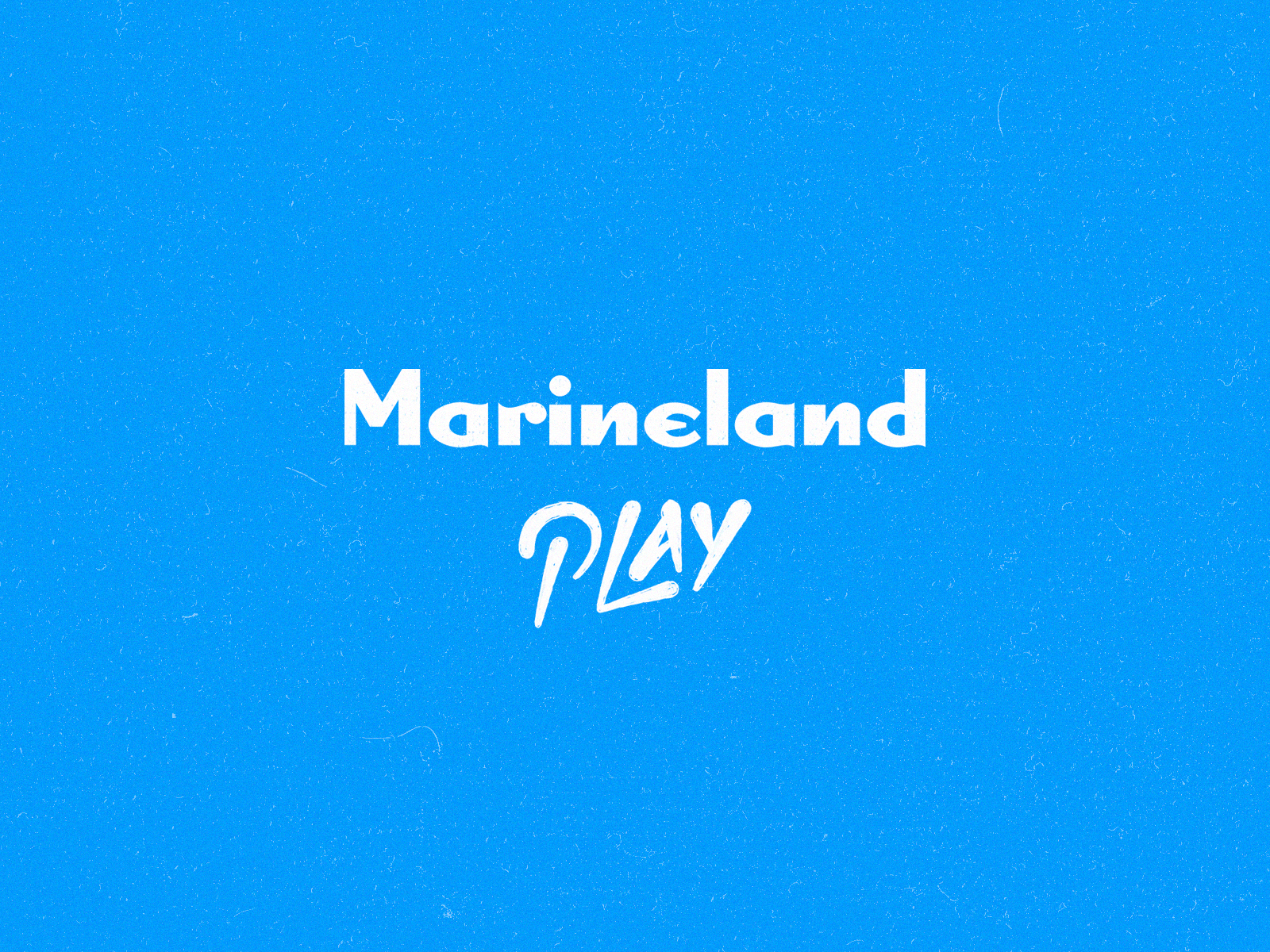 MARINELAND TYPES concept design handmade handtype identity illustration lettering type typography