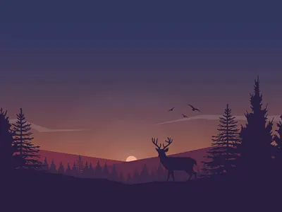 Background design for my new website