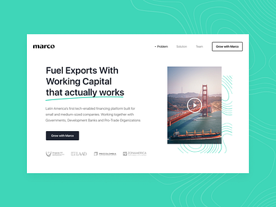 Marco Website clean design export header hellohello interface landing simple trade ui ux web website