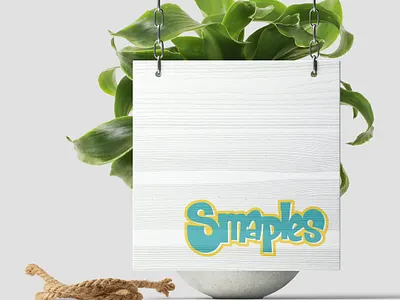 Brand Identity Project fro Smaples branding design illustration illustrator cc logo logo design typography vector