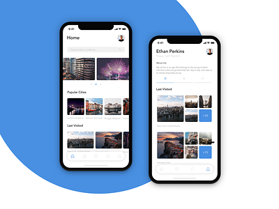 Travel App Design app app design clean design ios minimal mobile travel travel app travelling ui ux