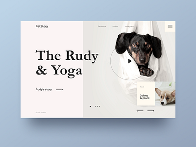 Pet Story dog landing landing page design pet pets