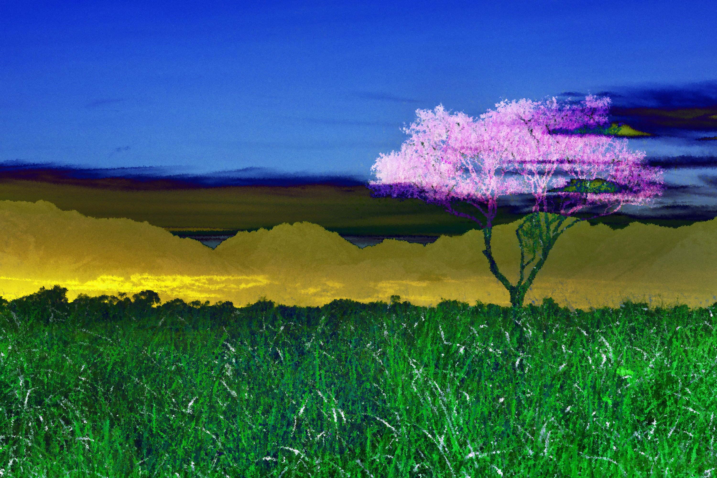 Example of tree in a landscape