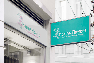 Cromatix work Branding Marine logo magazin branding chisinau constanta creative cromatix cromatix creative image lab cromatixlab design logo moldova romania typography