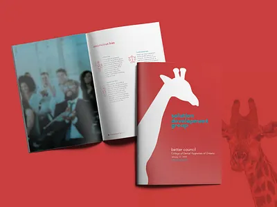 Solution Development Group - Brochure branding brochure graphic graphicdesign icons