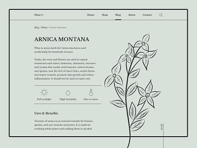 Plants and herbs. Website & Blog. blog book botanical concept easy hand drawn illustration landing page minimalistic newspaper plants retro serif font shop typogaphy ui uidesign vintage webdesign website