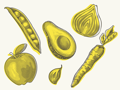 Fruit & Veg illustrations apple avocado carrot carving food garlic graphics halftone healthy eating healthyfood illustration lino pop art produce vegetable vintage woodcut woodcuts