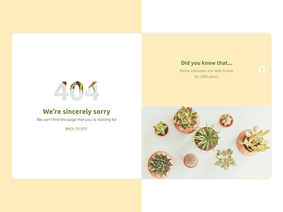 DailyUI 008 404 page 404 404 error 404 error page 404 page dailyui dailyui008 dailyuichallenge plants