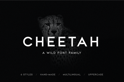 Cheetah - Sans Serif Font Family all caps branding clean custom font font design font family fonts geometric font graphic design identity minimal sale sans serif font typography