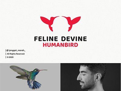 Feline Devine logo design animals awesome bird brand brand design brand identity brandidentity branding branding design design dribbble face fly homepage human huming bird identity inspiration inspirations logo