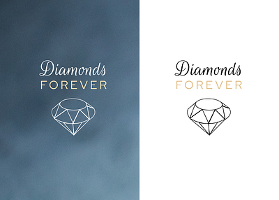 Logo concept design branding creative design diamonds fashion graphic design illustration jewellery logo online shop store