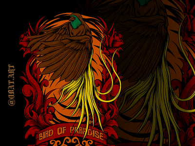 bird of paradise art artwork bird bird paradise cendrawasih design design brand illustration ornament papua paradise