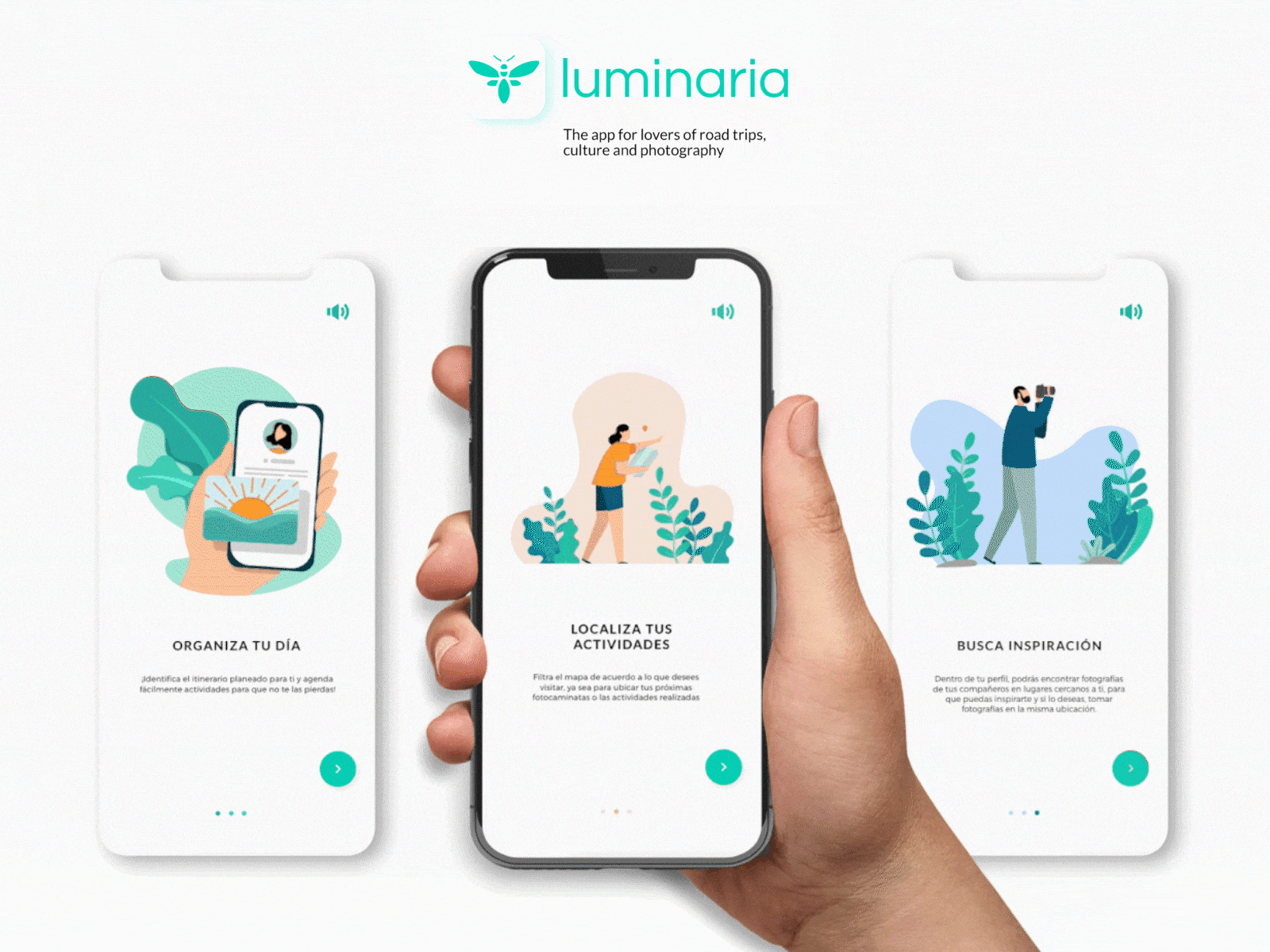 LUMINARIA APP adobe xd app app design app designers branding illustration ilustracion ilustración ui ux ux ui vector