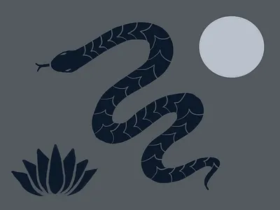 Grandma's python dream branding design flat illustration minimal