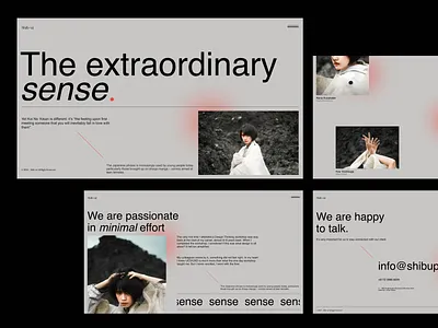Shib+ui clean design graphicdesign interface layout minimal photography typogaphy ui uidesign uiux ux web webdesign