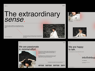 Shib+ui clean design graphicdesign interface layout minimal photography typogaphy ui uidesign uiux ux web webdesign