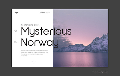 Mysterious Norway app art branding design graphic design ui ux vector web website