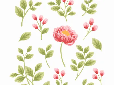 Peony Flower and Leaf Elements aesthetic botanical design digital art floral flower flower illustration hand drawn illustration nature peony pink plants