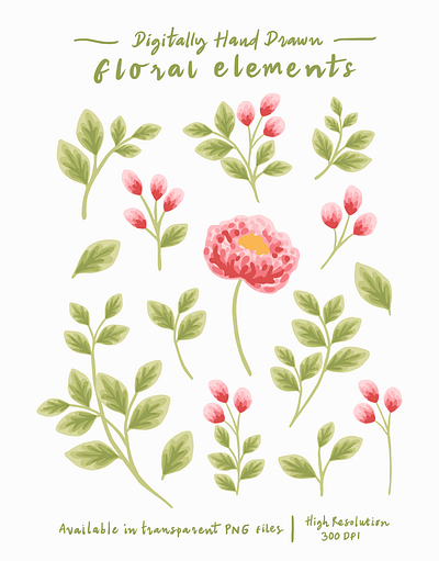 Peony Flower and Leaf Elements aesthetic botanical design digital art floral flower flower illustration hand drawn illustration nature peony pink plants