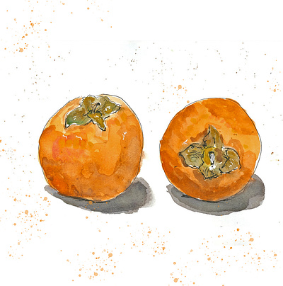 Persimmons food illustration fooddrawing persimmon sketch watercolour