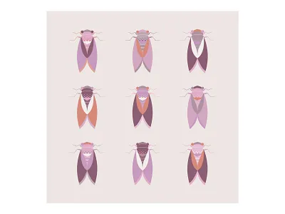 Cicadas purple set animal beetle bug cicada flat flying geometric illustration insect minimal vector