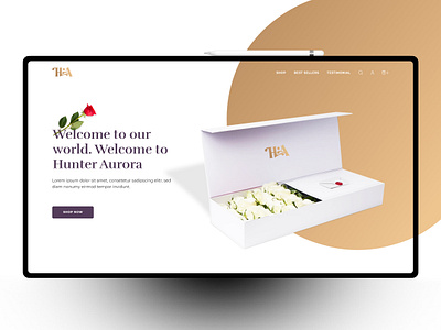 Web Design HA banner banner design design ui ui design ux web design website website design