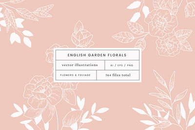 English Garden Vector Illustrations creative market design drawing floral flowers graphicdesign illustration nature plants vector