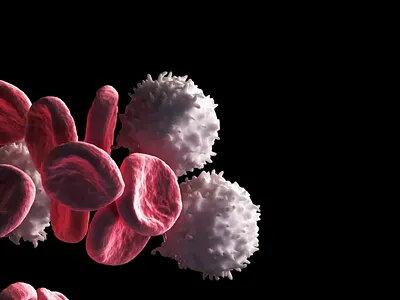 Leukocyte Animation 3d art animation blood cells cells conference background conference identity medicine red cells white cells