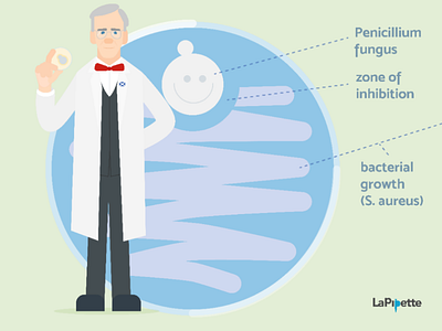 Fleming's discovery design flat illustration science