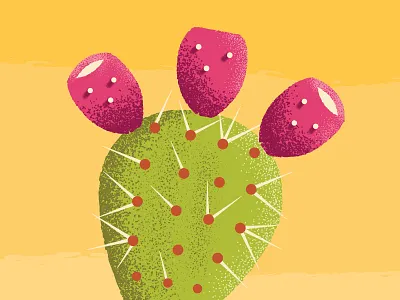 prickly pear cactus desert design illustration prickly pear shading southwest texture thorns vector wip