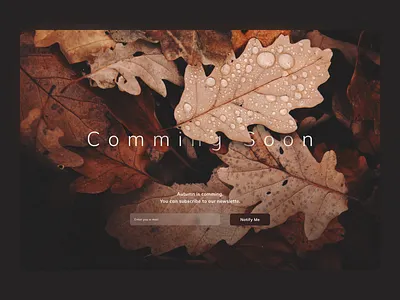 Comming Soon Page 048 comming soon daily 100 challenge dailyui dailyuichallenge minimal ui web web design