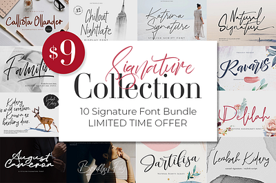 Signature Collection Font Bundle autumn baby branding bundle christmas custom type cute fall halloween lettering promo pumpkin script svg unicorn winter