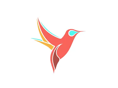 Hummingbird bird birds design flight humming bird hummingbird illustration nature vector