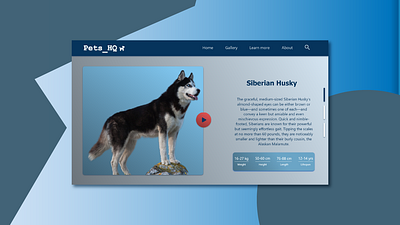 Pets_HQ - Landing Page adobe app design dogs figma graphic design husky illustration pets ui ux web