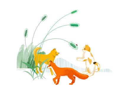 Foxtail Grass illustration