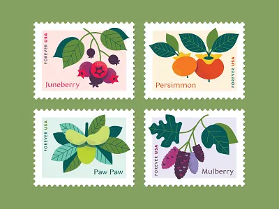 Native Fruits Postage Stamp Concept concept digital illustration fruit illustrator juneberry mulberry native plants paw paw persimmon postage postage stamp stamp usps