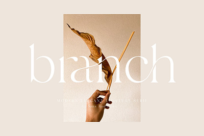 Branch - Elegant Ligature Font branding design elegant elegant font elegant fonts font font design fonts fonts collection lettering ligature ligature font ligature fonts logo modern fonts perfect sans serif sans serif font serif font serif fonts