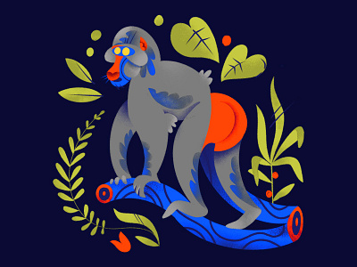 "M" = Mandrill alphabet animal butt children childrens book childrens illustration color contrast illustration leaves mandrill nature procreate series texture