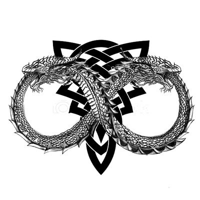 Black and white tattoos arts blackandwhite dragon skull sleevetattoo snake snkeandskull tattoodesign tattoos tribal tribaltattoo
