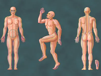 Thai Yoga Massage Sen lines map illustration