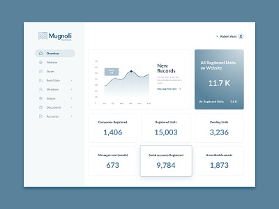 Dashboard overview