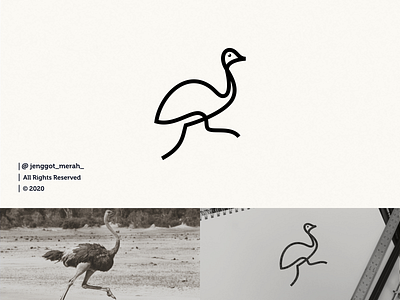 ostrich logo design art awesome bird bird logo brand brand design brand identity brandidentity branding branding design design elegant excellent identity inspiration inspirations line lineart logo ostrich