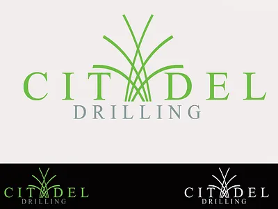 Logo Design brand branding design icon logo logodesign logos logotype symbol