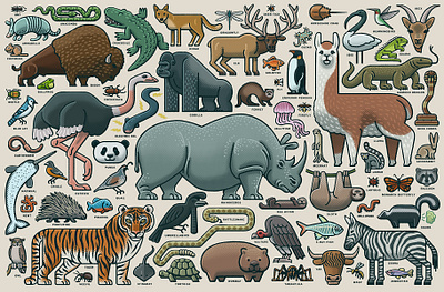 Animal Collage animal art animal illustration animals animals illustrated drawing illustration jigsaw licensing mario puzzle puzzles ravensburger zucca