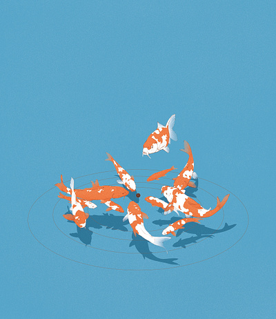 Koi drawing illustration japan koi koi fish pencil