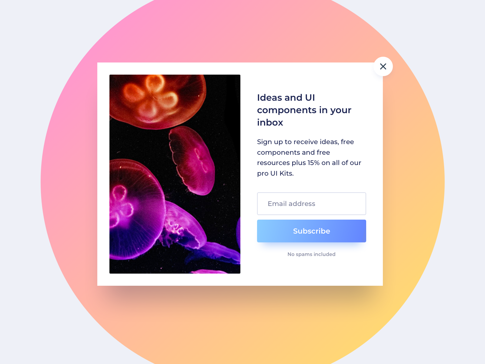 Subscribe Modal UI Design by Ildiko Gaspar on Dribbble