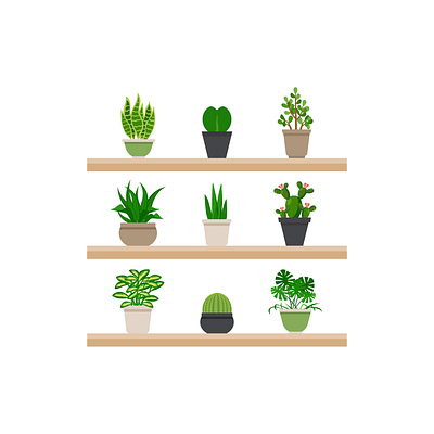 Plants Shelf adobe art artwork cute design houseplants icon illustration illustrator leaves logo nursery planting plants pot simple succulents vector vector illustration vectorart